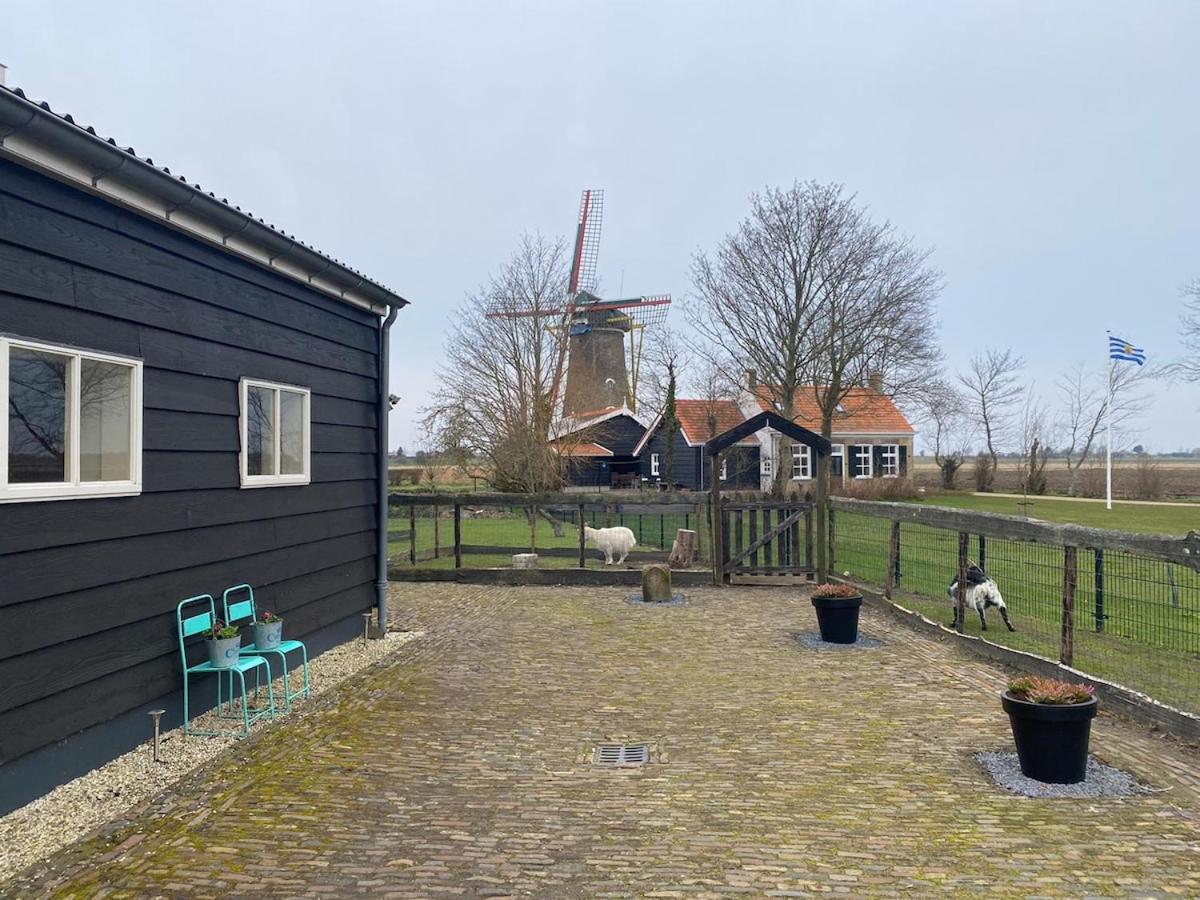 Suite School 15 B Zonnemaire Zewnętrze zdjęcie